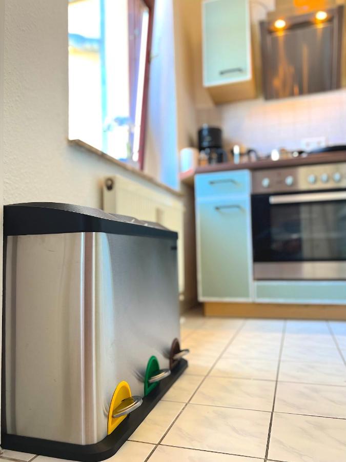 Elbling Apartment Mit Terrasse - Netflix - Parkplatz - Weinbergblick Meissen Exterior foto